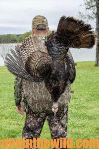 A hunter retrieves a downed turkey