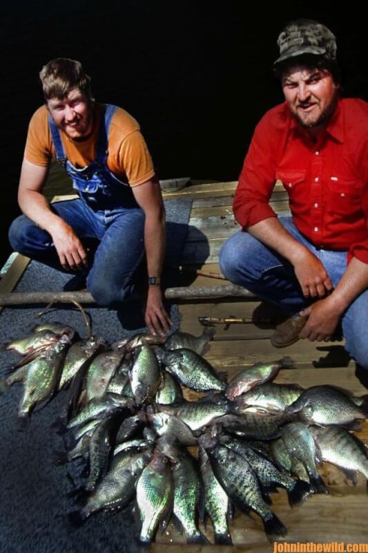 Fisherman pose with crappie they caught at night