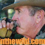 Getting Ready for Elk Season Day 3: Wayne Carlton Tells More on Hunting Elk