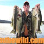 Catching Summertime Bass in Grassy Lakes Day 4: Realize That Frogs Catch Bass in Grass