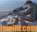 Mike Lee elk hunting