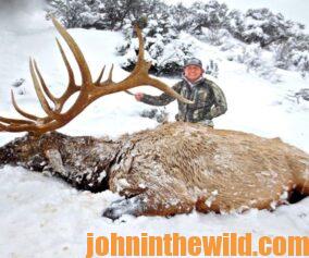 Mike Lee and an elk in the snow