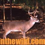 Where to Learn How to Hunt Deer Day 1: Why Attend Mentored Deer Hunt Programs