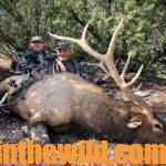Opening Day Bull Elk and Other Wildlife Day 3: Realize That Heat Impacts Elk Hunting