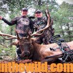 Opening Day Bull Elk and Other Wildlife Day 5: Take Elk by Bowhunting
