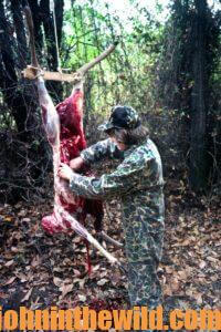 Dr. Grant Woods harvesting a deer
