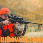 Things to Know Before Hunting Elk & Muleys Day 5: Understand the Distance to Elk or Muleys