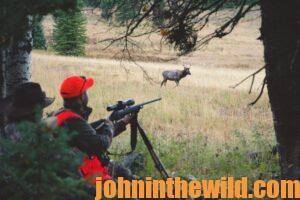 Rifle hunting