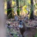 Think Outside the Box to Hunt Deer Day 2: Know Other Hunters’ Locations