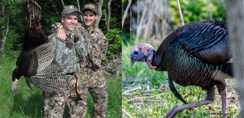 Turkey hunters and turkey