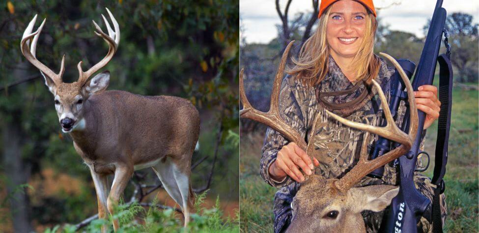 Deer and a deer hunter with her trophy