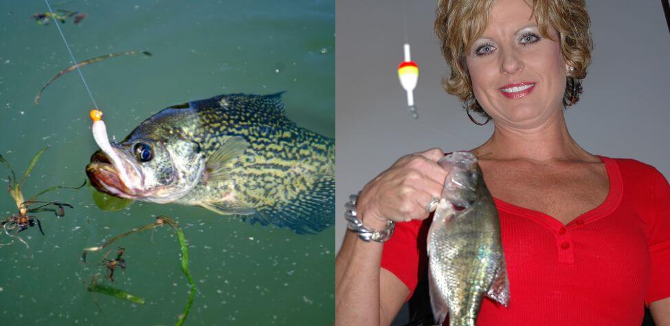 Crappie and crappie fisherwoman