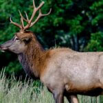 5 Reasons Hunters Don’t Take Elk Day 3: Being Physically Fit to Hunt Elk