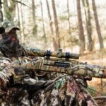 More Questions about Hunting Turkeys Day 4: Why Learn More about Turkeys
