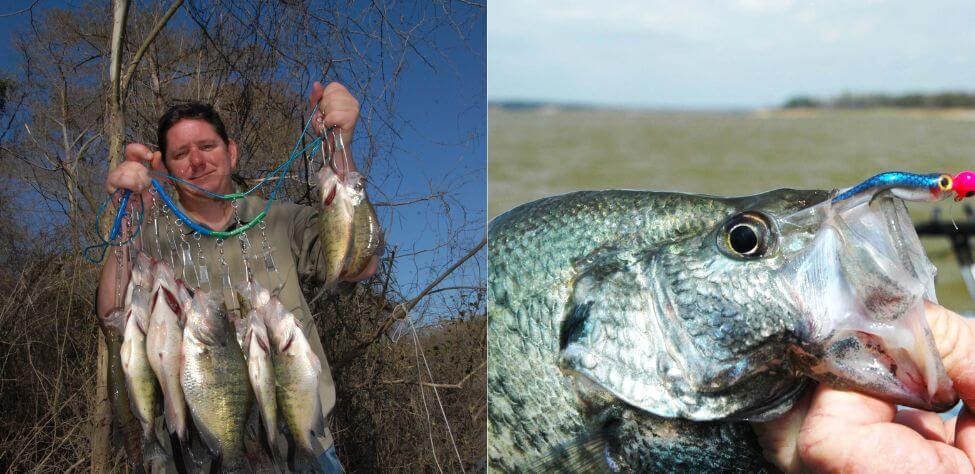 Crappie and crappie fisherman