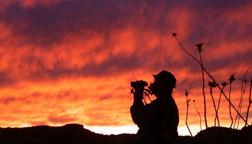 Turkey hunter calling in the sunset