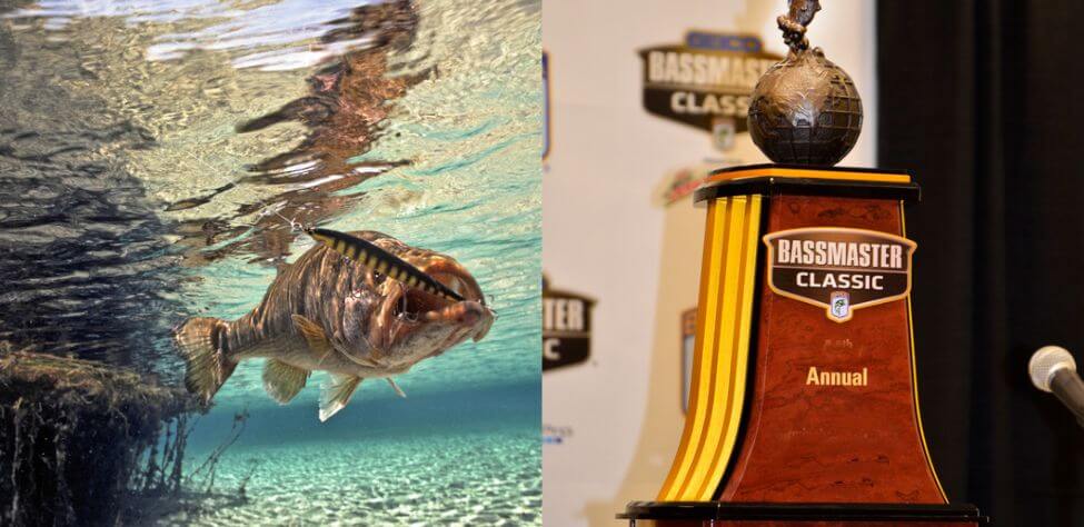 Bass and Bassmaster Classic Trophy