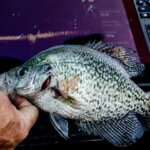 How to Find Crappie on a New Lake Day 3: Map Crappie to Catch Them