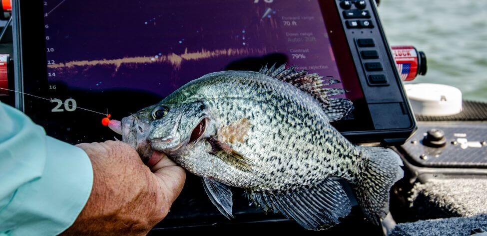 How to Find Crappie on a New Lake Day 3: Map Crappie to Catch Them - John  In The WildJohn In The Wild