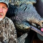 The Master Public Land Turkey Hunter Day 5: How to Hunt a Lunchtime Gobbler