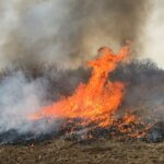 Productive Dove Fields and More Day 5: Burn and Disc Land for More Wildlife