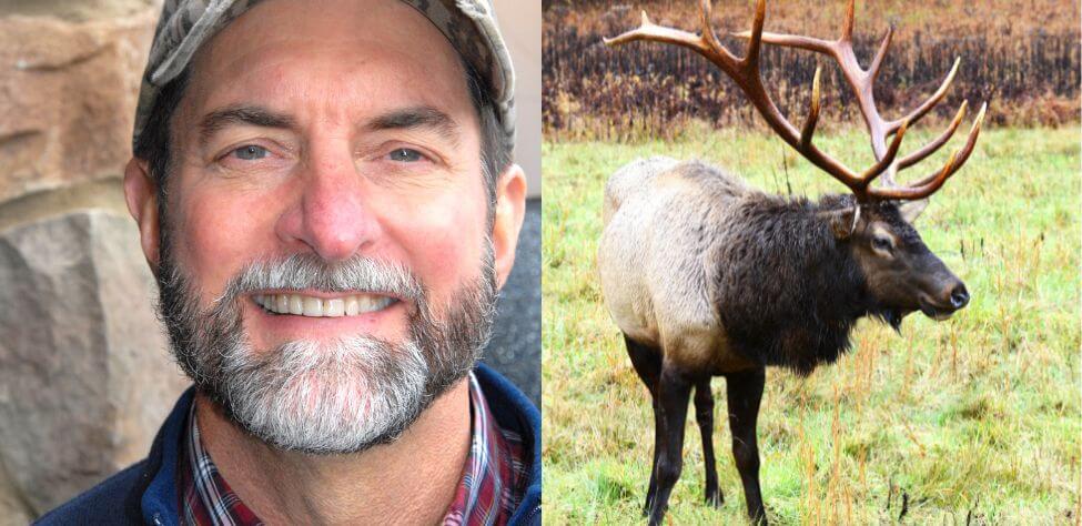 Will Primos elk hunting