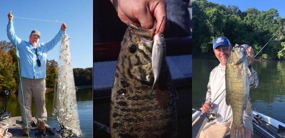 Catching Hot Weather Smallmouth Bass Day 1: Fishing for Hot Weather  Smallmouth Bass - John In The WildJohn In The Wild