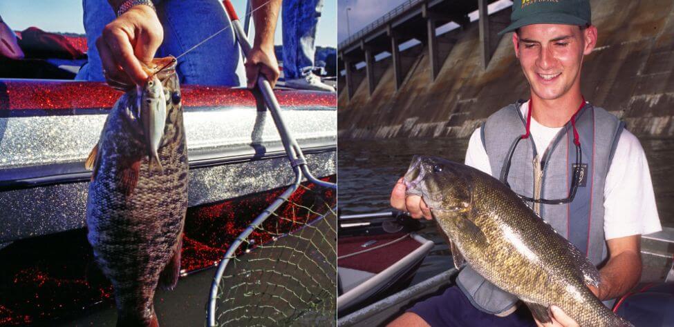 Catching Hot Weather Smallmouth Bass Day 1: Fishing for Hot