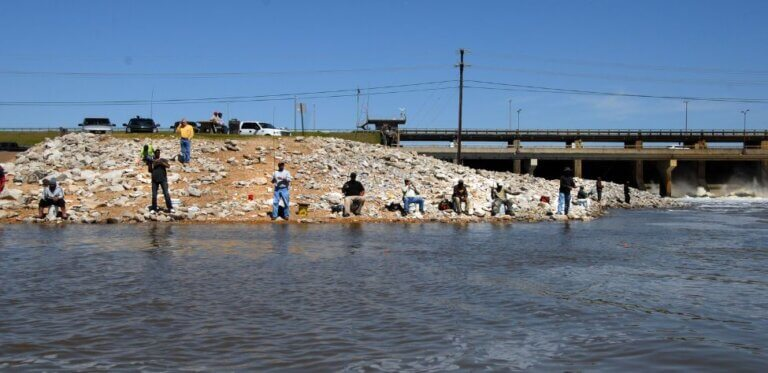 Catching Summertime Crappie Day 3: Use the Best Baits for Crappie