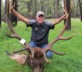 Elk hunter with large antlers