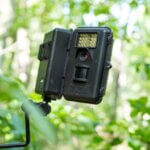 Use Trail Cameras for Public Land Deer Day 5: What Cameras I Use for Deer