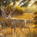 “How to Predict Deer Movement” Day 2: Predict Deer Movement During the Season