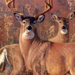 “How to Predict Deer Movement” Day 3: Scout and Hunt Deer at the Season’s End