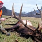 You Can Hunt Big Elk in Pennsylvania Day 5: General Pennsylvania Elk Hunting Information