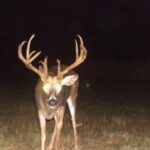 Hunt Deer in February Day 3: Moon Phase Affects February Deer Movement